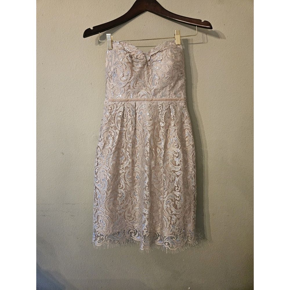 Jenny‎ Yoo 'Hudson' Metallic Lace Sheath Dress Sz 2 Sleeveless Champagne